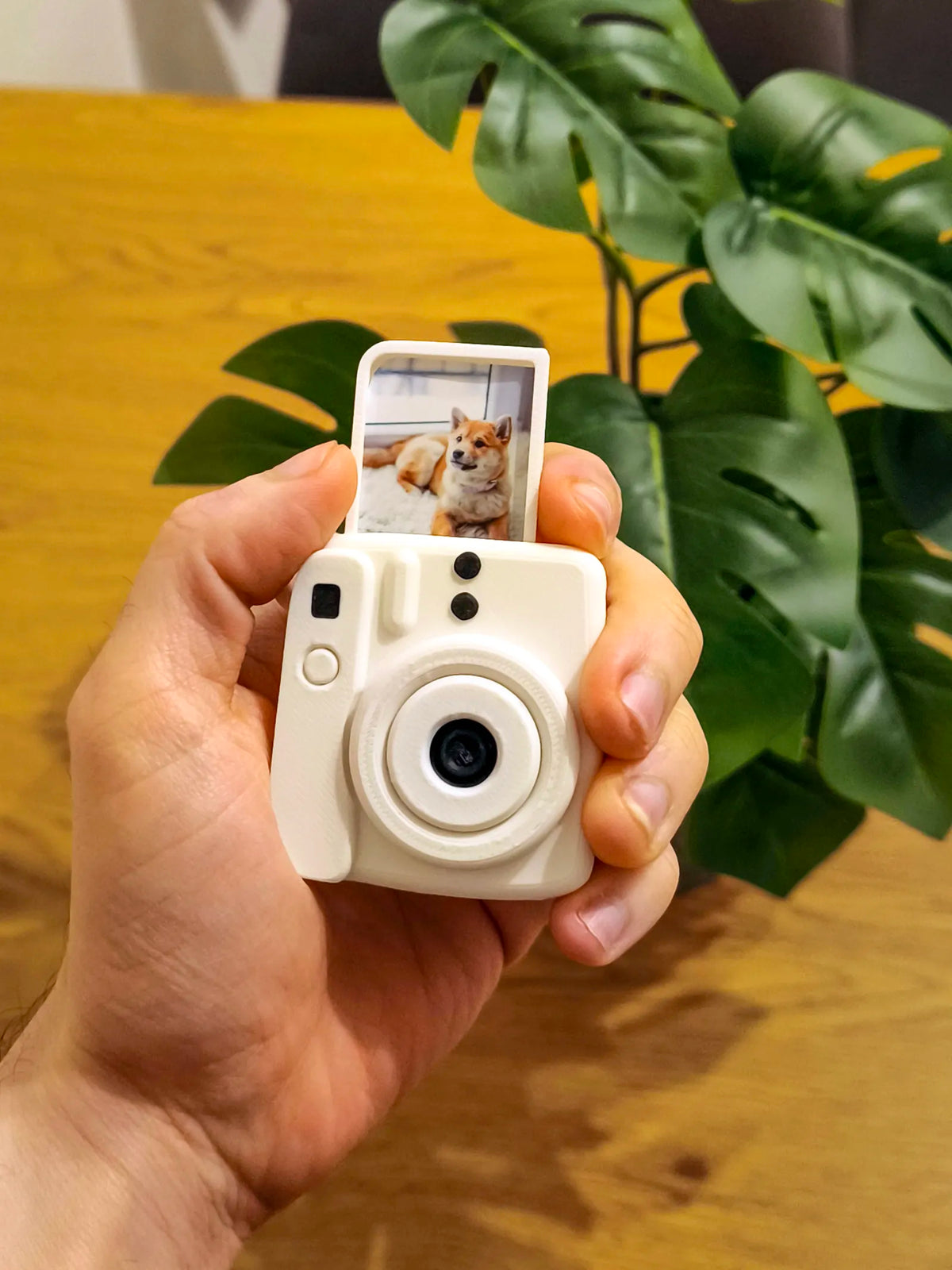 Mini Instant Camera Keychain