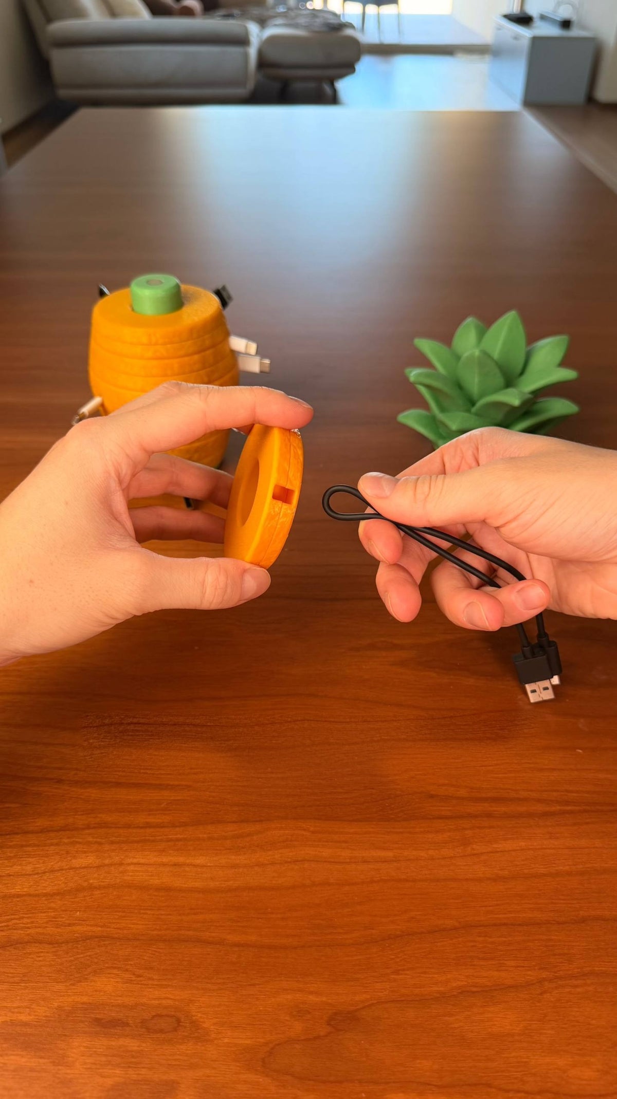 Pinecable – Pineapple Cable Organizer