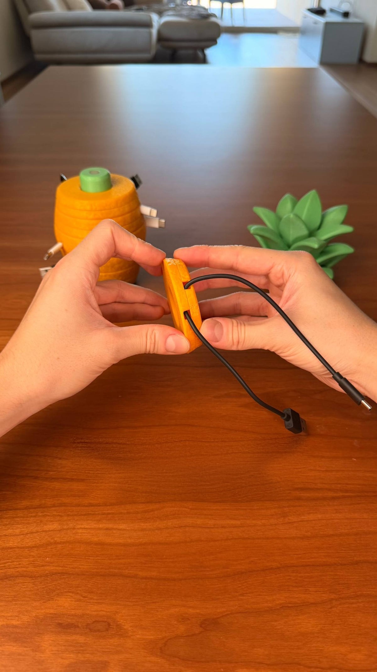 Pinecable – Pineapple Cable Organizer